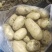 土豆陕西沃土5号土豆黄皮黄心基地直发品质保证