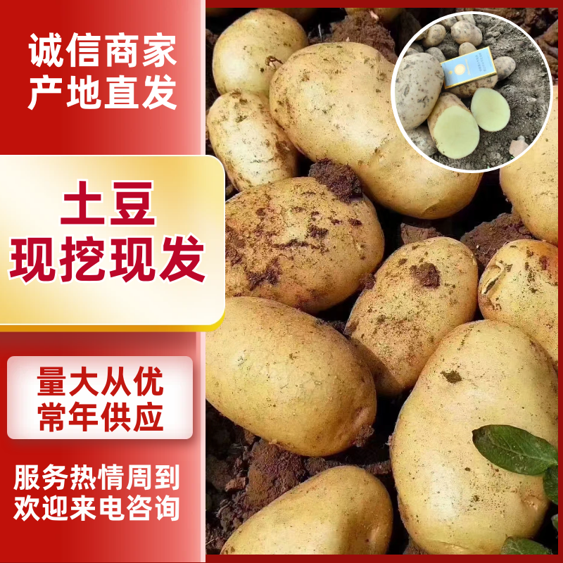 土豆陕西沃土5号土豆黄皮黄心基地直发品质保证