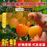 山东黄蜜黄水晶大樱桃品质保证服务周到产地直发