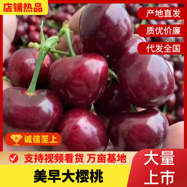 美早樱桃品质保证服务周到产地直发一件代发