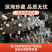 拉缸盐海参半干海参即食海参刺身保真