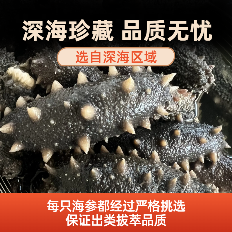 拉缸盐海参半干海参即食海参刺身保真