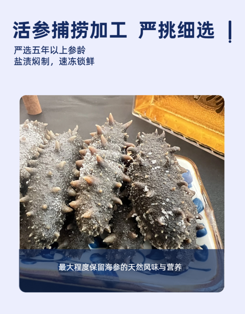 拉缸盐海参半干海参即食海参刺身保真