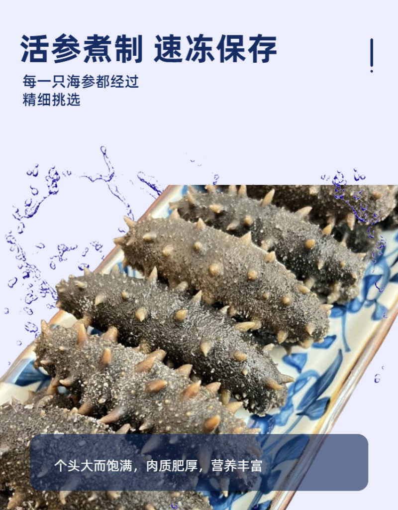 拉缸盐海参半干海参即食海参刺身保真