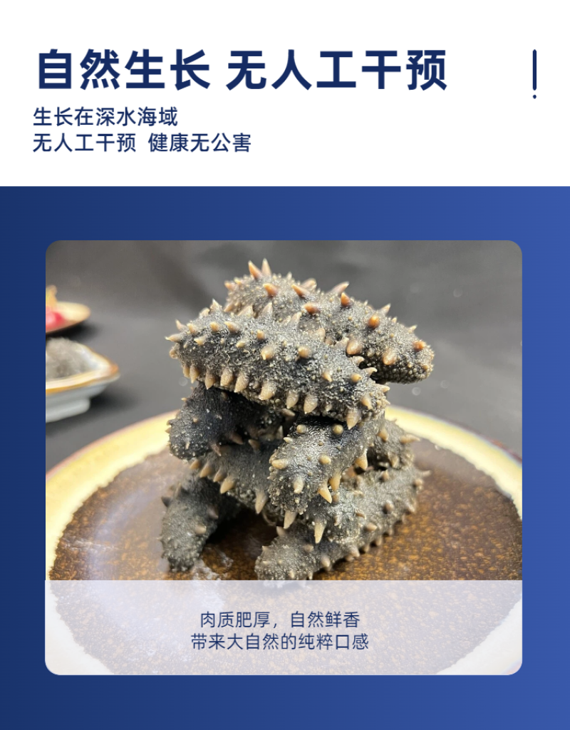拉缸盐海参半干海参即食海参刺身保真