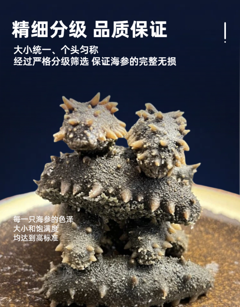 拉缸盐海参半干海参即食海参刺身保真