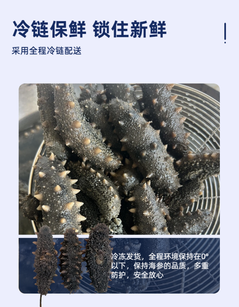 拉缸盐海参半干海参即食海参刺身保真