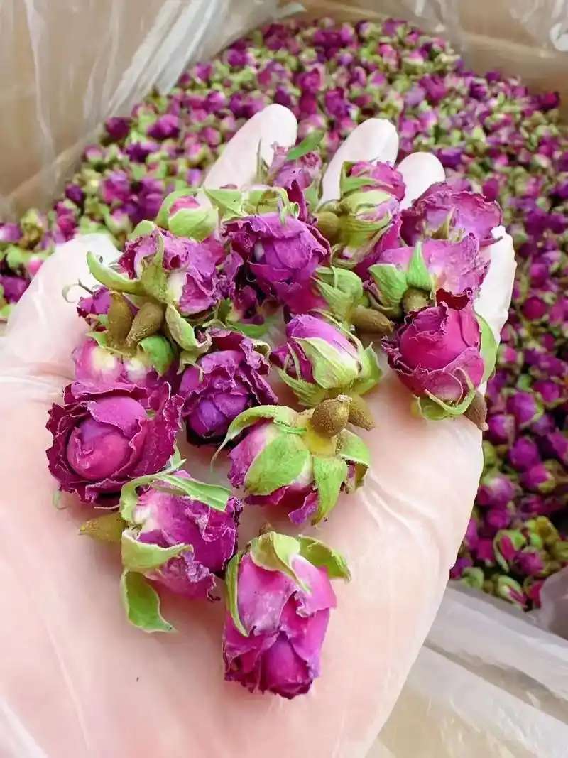 和田玫瑰花蕾