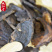 《精品》生地黄大量有货精选药材品质保证可视频看货