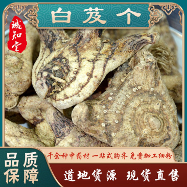 《精品》白芨大量有货精选药材品质保证可视频看货