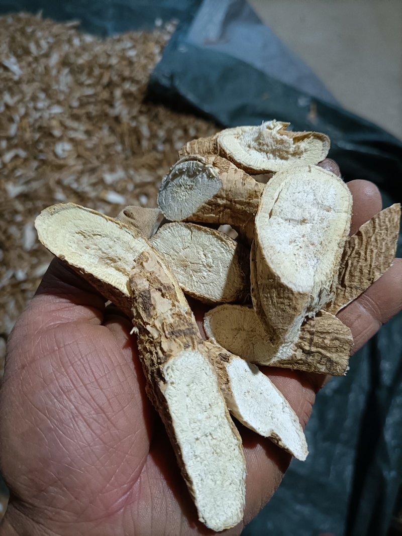 广东本地牛大力货源充足产地直发保质保量欢迎电话联系