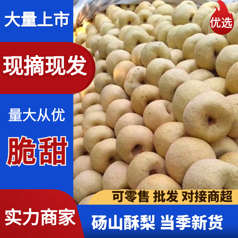砀山酥梨，一手货源，品质保证，量大从优，欢迎来电