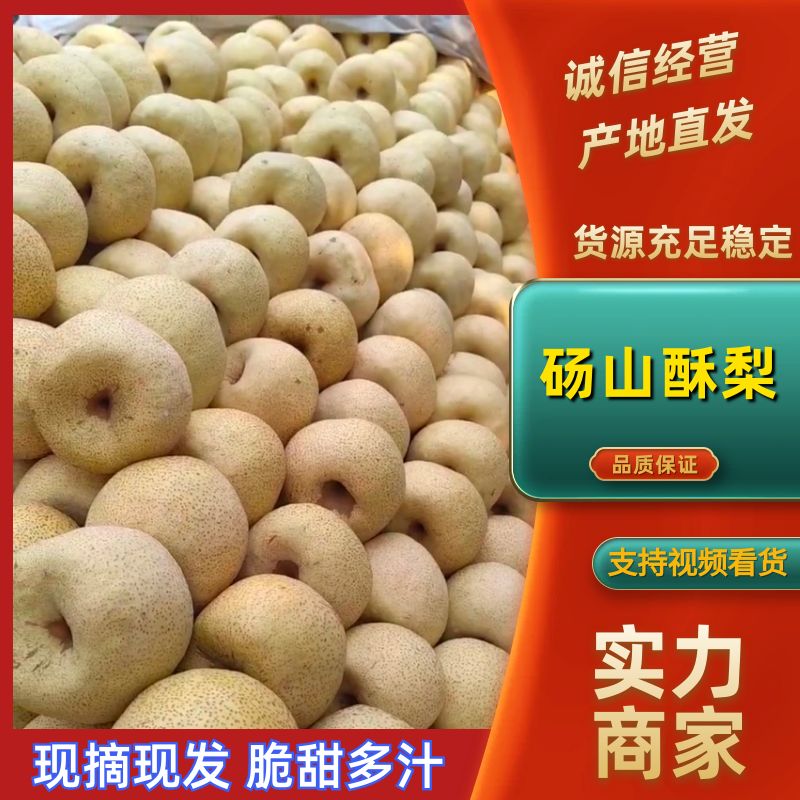 砀山酥梨，一手货源，品质保证，量大从优，欢迎来电