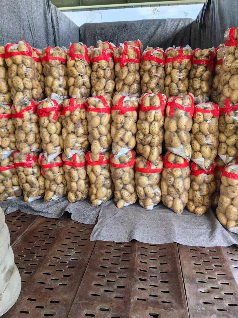 黄心土豆河北土豆产地直发规格齐全量大优惠供出口