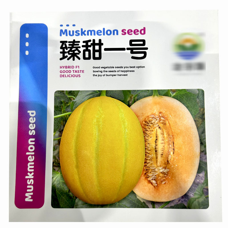 臻甜一号甜瓜种子早熟厚皮易坐果果肉桔红火烈鸟