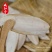 《精品》海螵蛸大量有货精选药材品质保证可视频看货