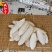 《精品》海螵蛸大量有货精选药材品质保证可视频看货
