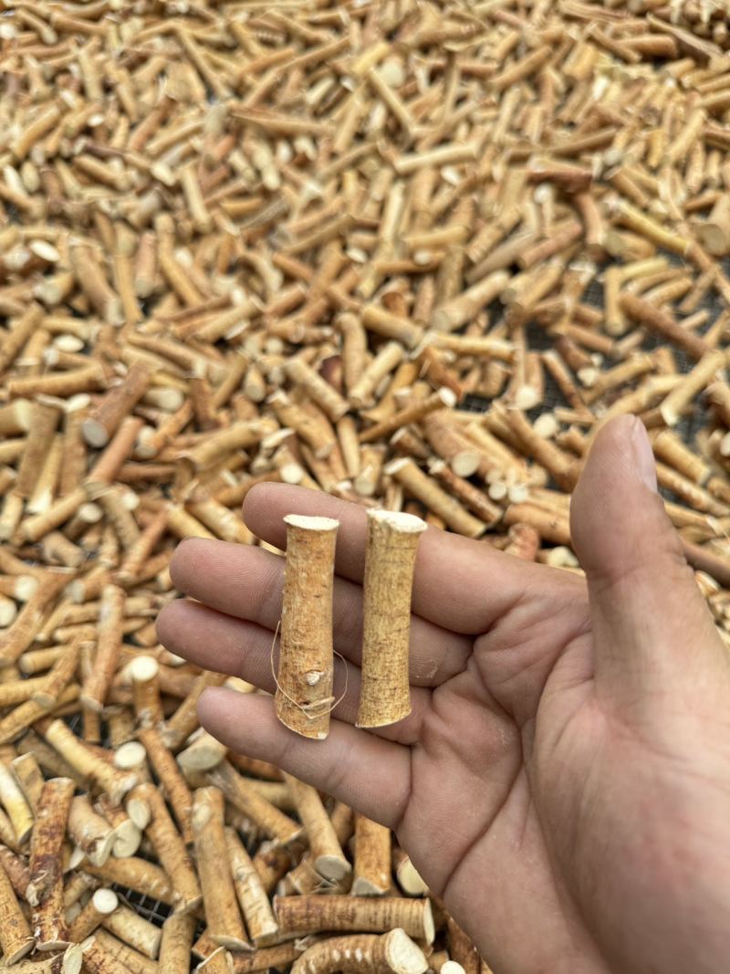 广西中药材/五指毛桃/规格-无硫中节品质保证发货全国