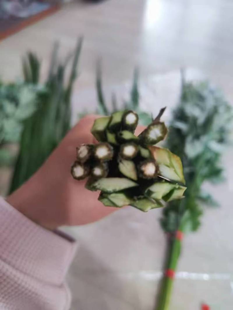 端午节艾草一手货源鲜货直发全国发货量大价优
