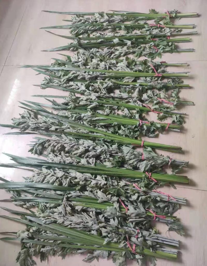 端午节艾草一手货源鲜货直发全国发货量大价优