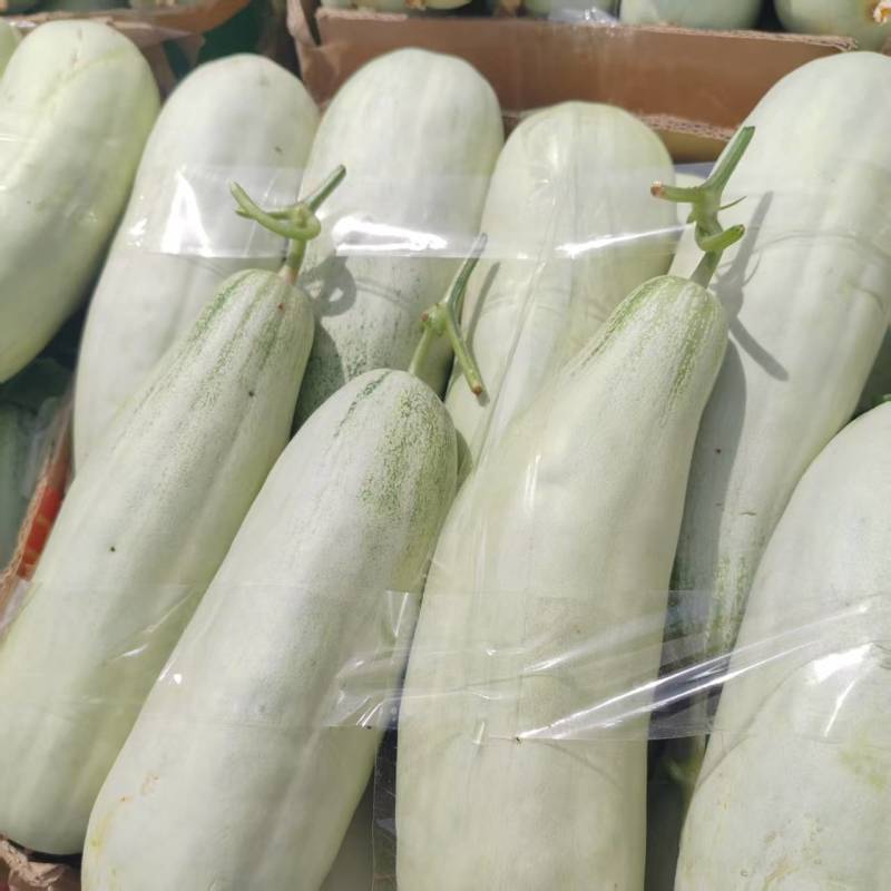 花蕾甜瓜现摘现发货源品种齐全品质保障发全国市场