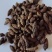 《精品》香附大量有货精选药材品质保证可视频看货