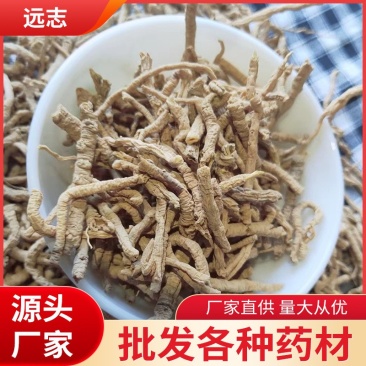《精品》远志肉大量有货精选药材品质保证可视频看货