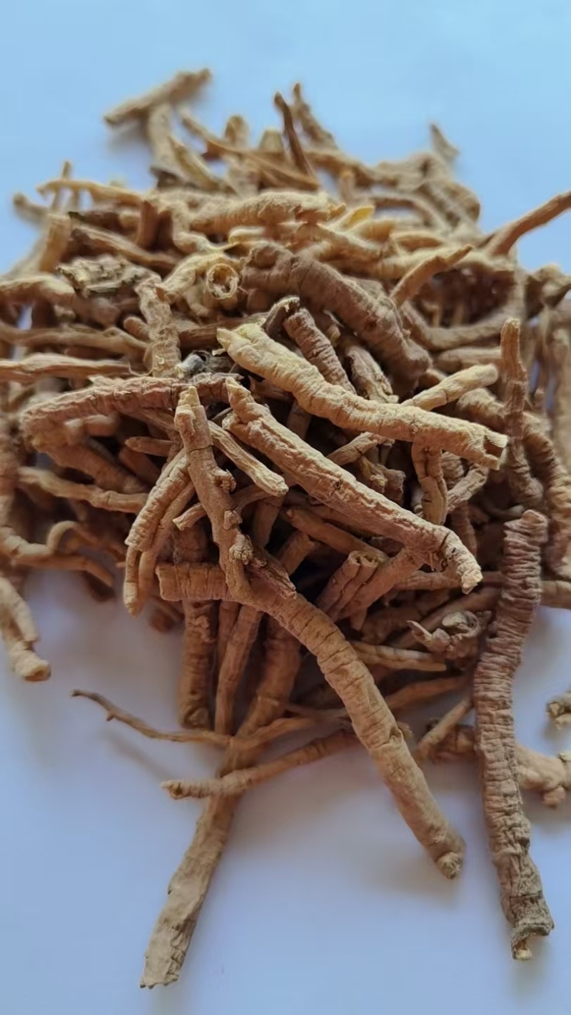 《精品》远志肉大量有货精选药材品质保证可视频看货
