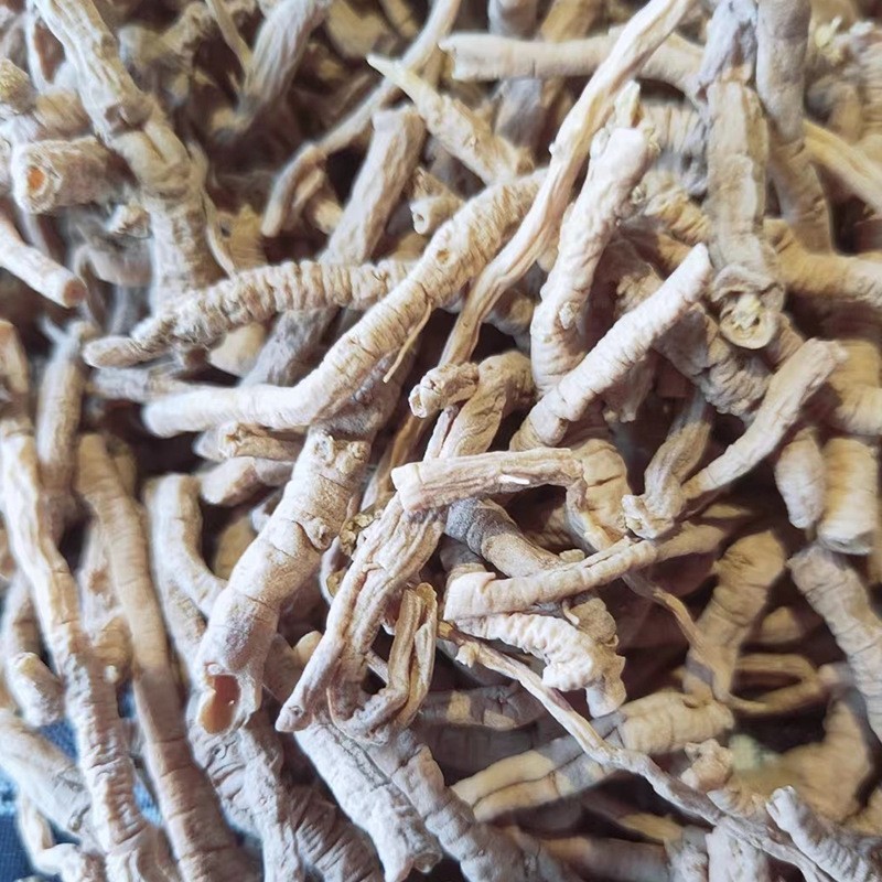 《精品》远志肉大量有货精选药材品质保证可视频看货