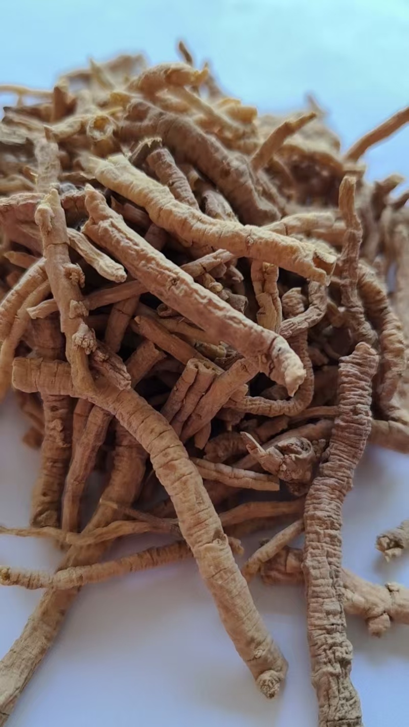 《精品》远志肉大量有货精选药材品质保证可视频看货