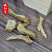 《精品》木香大量有货精选药材品质保证可视频看货