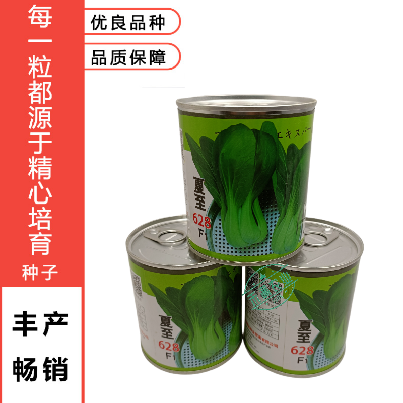 夏至628青梗菜种子耐高温速生30天采收夏季可播基