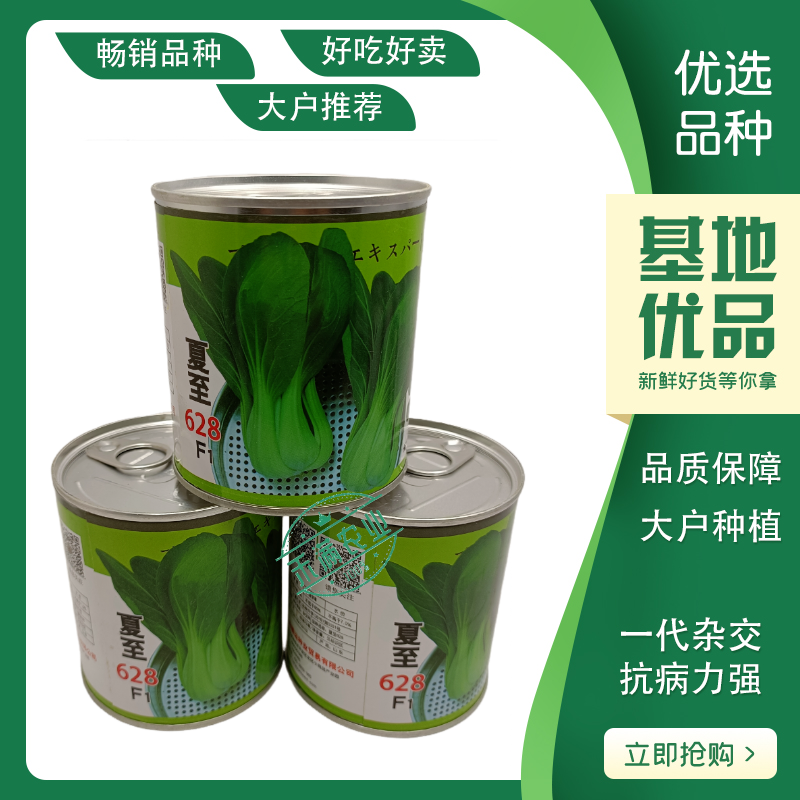 夏至628青梗菜种子耐高温速生30天采收夏季可播基