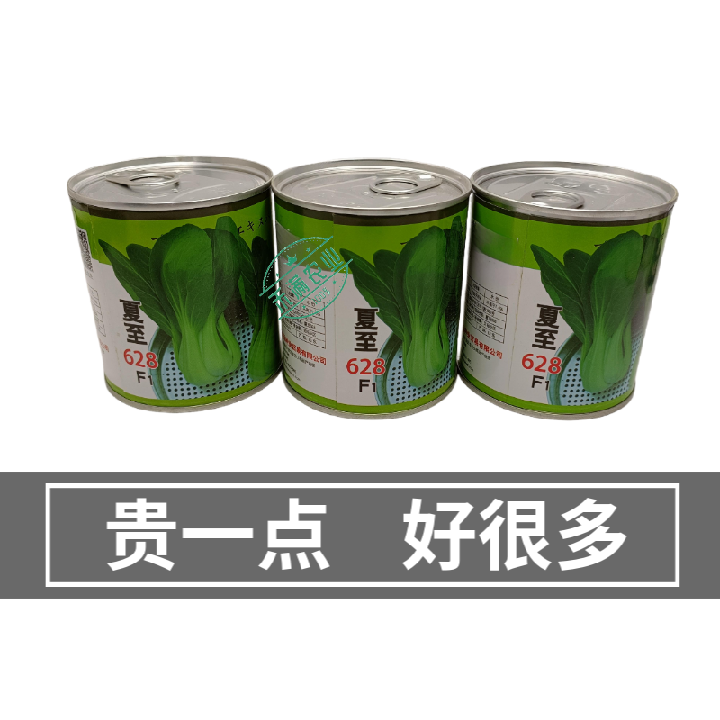 夏至628青梗菜种子耐高温速生30天采收夏季可播基