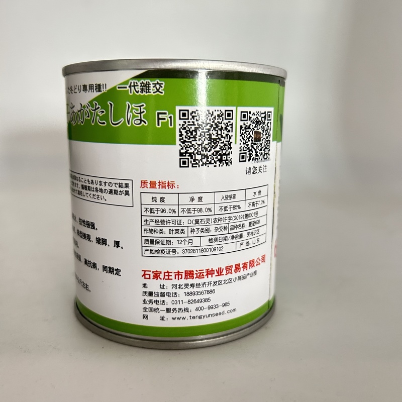 夏至628青梗菜种子耐高温速生30天采收夏季可播基