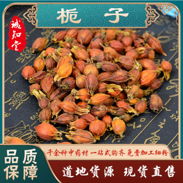 《精品》山栀子大量有货精选药材品质保证可视频看货