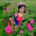 和田玫瑰花蕾