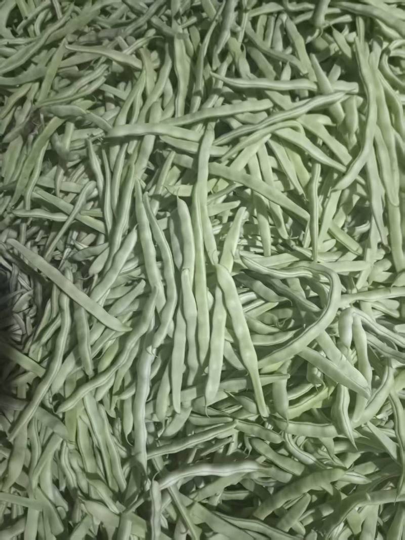 【精品】白不老芸豆大量上市价格优惠货源充足欢迎咨询