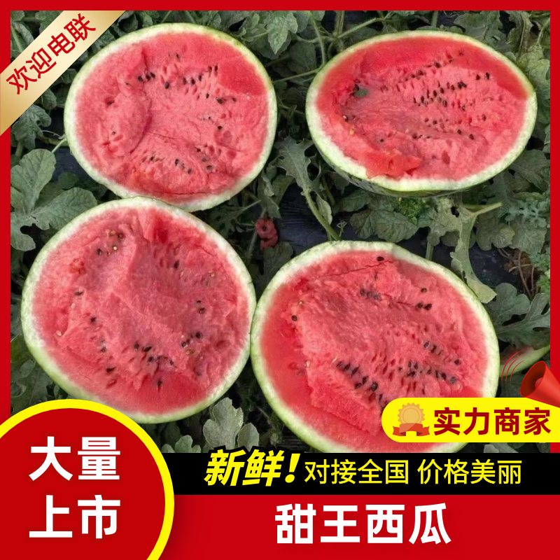 【实力供货】甜王西瓜陕西西瓜货源充足商超品质全国发货
