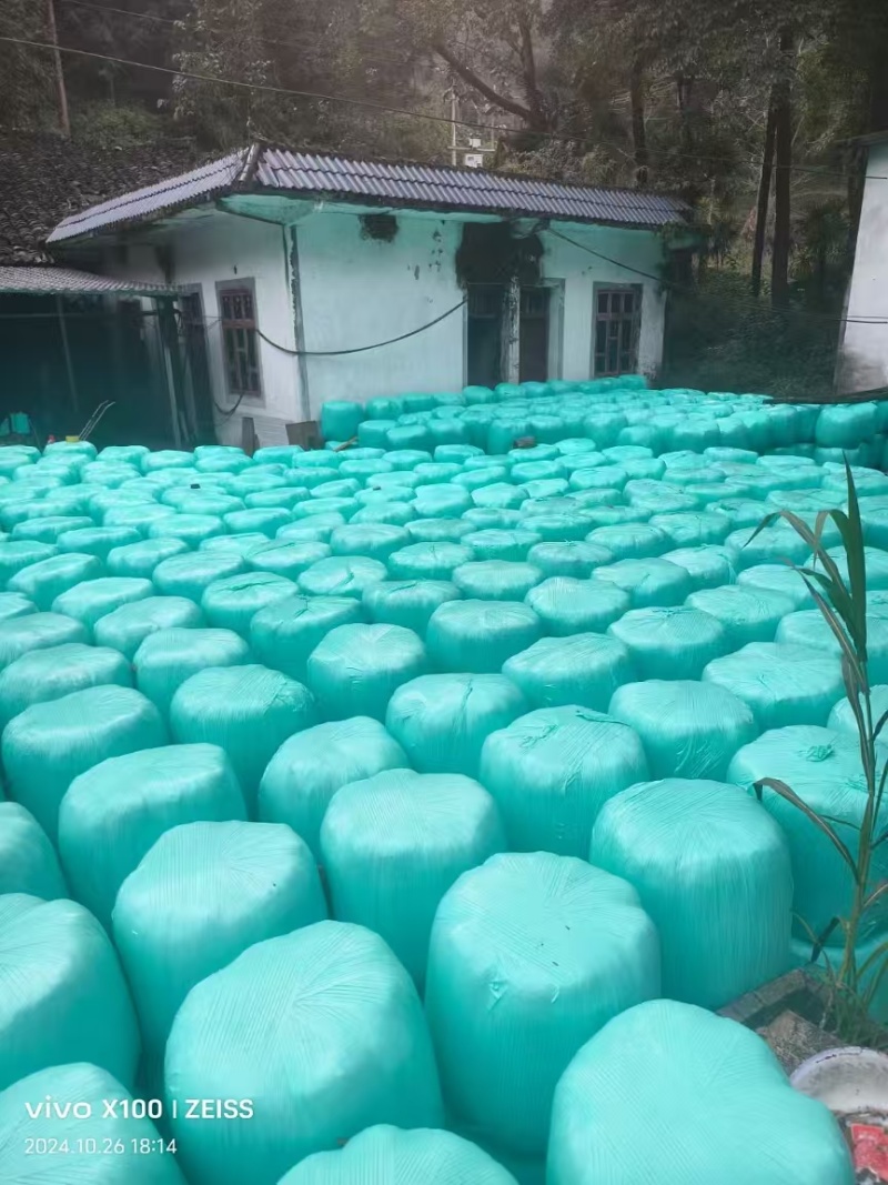 青储打包机生产源头厂家，厂家直销，直接发货