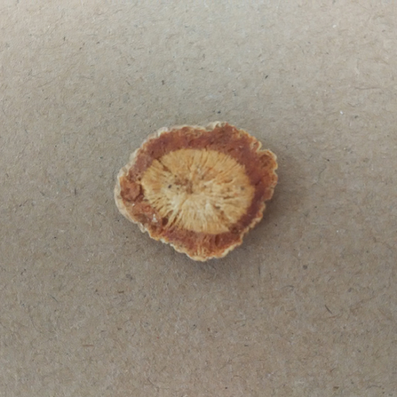 《精品》防风大量有货精选药材品质保证可视频看货