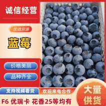 【L25蓝莓】山东临沂精品蓝莓大量上市，货源充足！