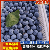 【F6蓝莓】精品F6蓝莓大量上市，价格便宜了，货源充足！