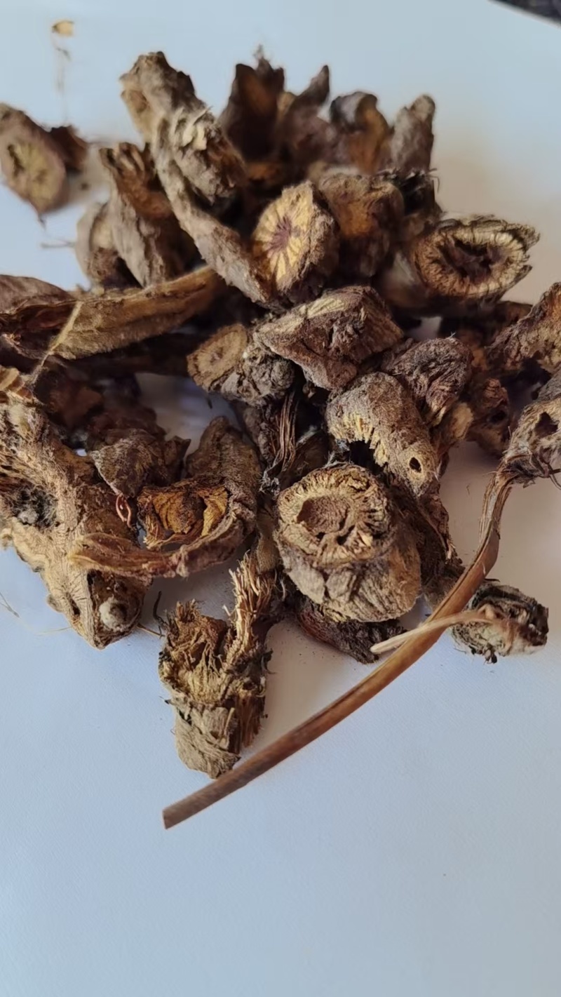 《精品》漏芦大量有货精选药材品质保证可视频看货