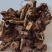 《精品》漏芦大量有货精选药材品质保证可视频看货