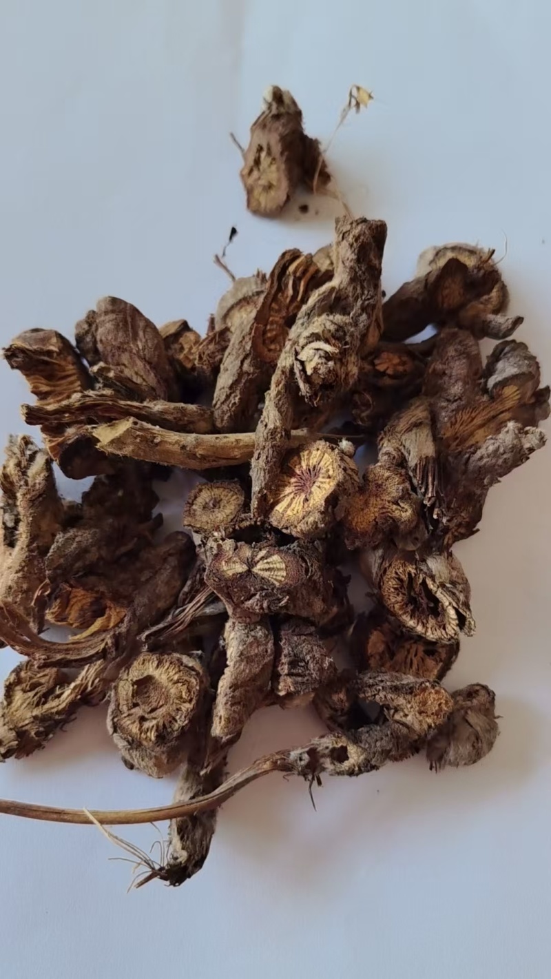 《精品》漏芦大量有货精选药材品质保证可视频看货