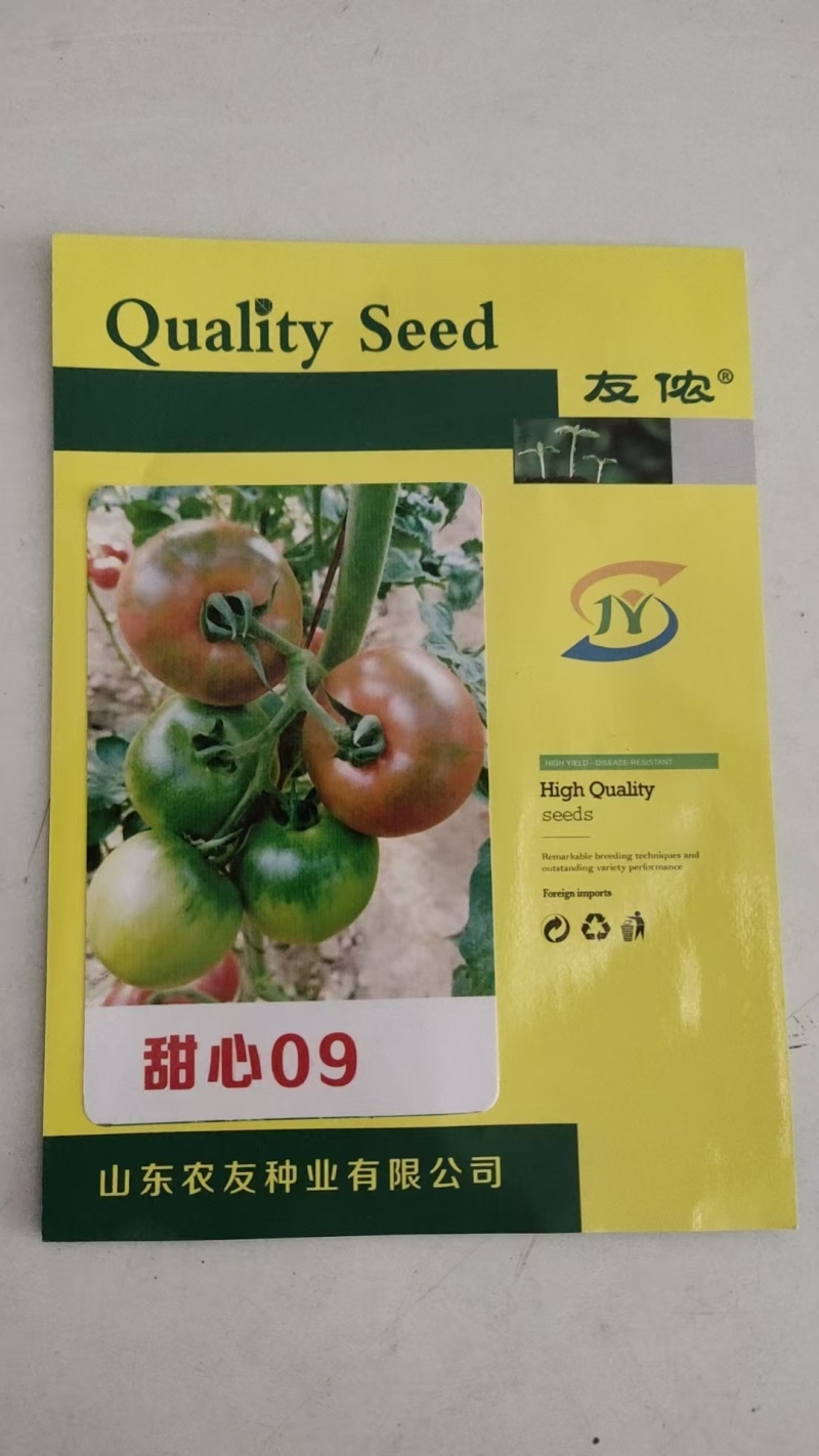 草莓柿子种子酸甜水果西红柿种籽青肩绿腚番茄甜心09中大果
