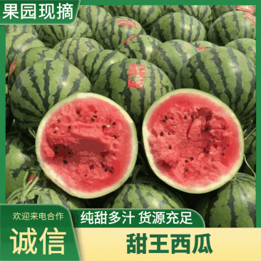 阜城县甜王西瓜。大量上市，产地直发！保质保量！