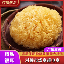 精品银耳优质质量保证价格实惠诚信经营欢迎咨询