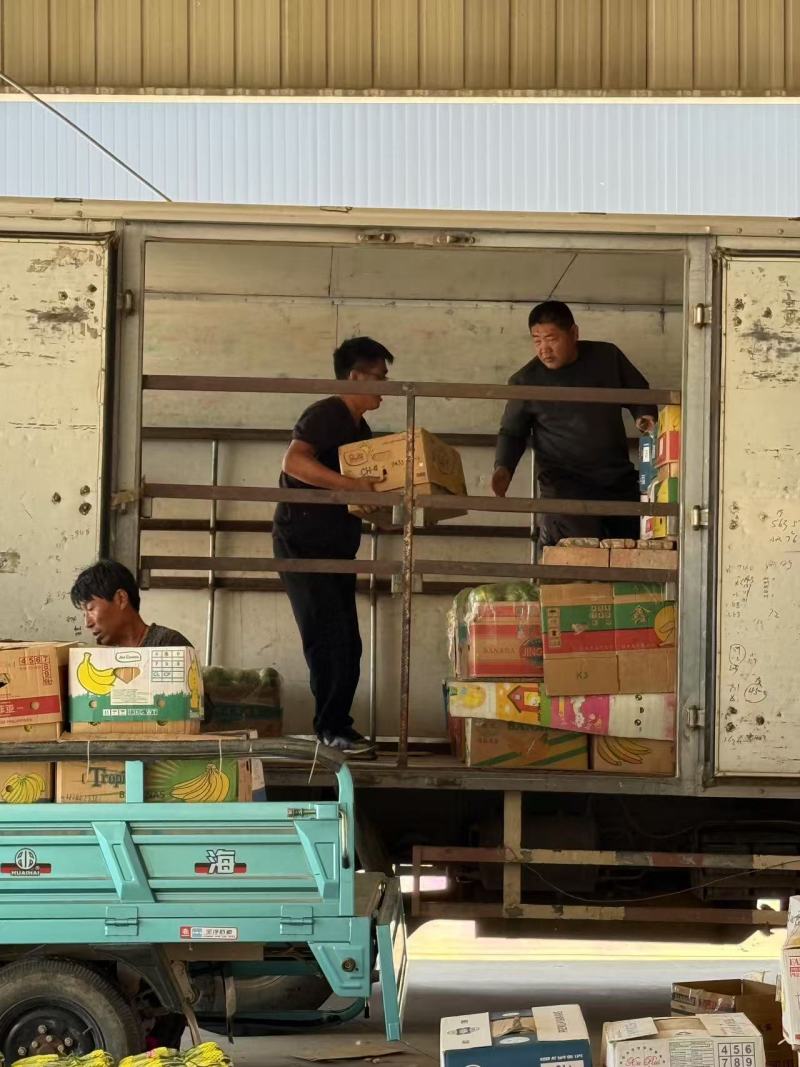 博洋61甜瓜博洋甜瓜产地直发对接电商市场社区团购等